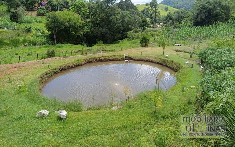 Sítio à Venda Em CamanducaiaMG 1 ALQUEIRE EXCELENTE OPORTUNIDADE COD2367 (56)