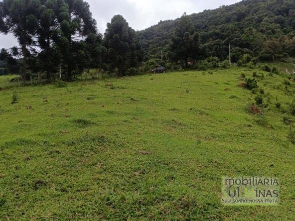 Terreno De 20.000m² À Venda em Camanducaia MG COD2361 (4)