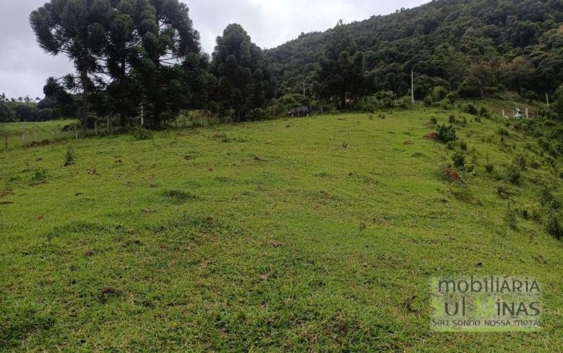 Terreno De 20.000m² À Venda em Camanducaia MG COD2361 (4)