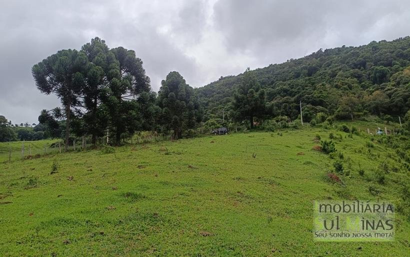 Terreno De 20.000m² À Venda em Camanducaia MG COD2361 (5)