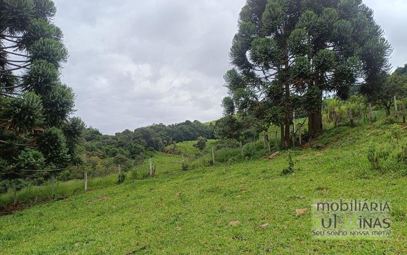 Terreno De 20.000m² À Venda em Camanducaia MG COD2361 (6)