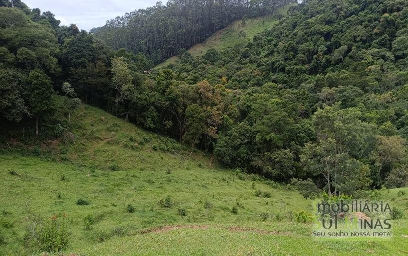 Terreno De 20.000m² À Venda em Camanducaia MG COD2361 (7)