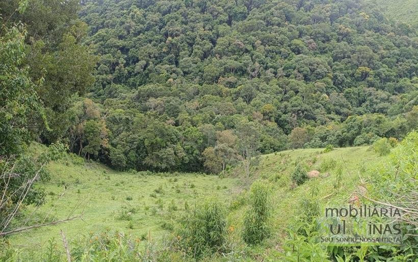 Terreno De 20.000m² À Venda em Camanducaia MG COD2361 (8)