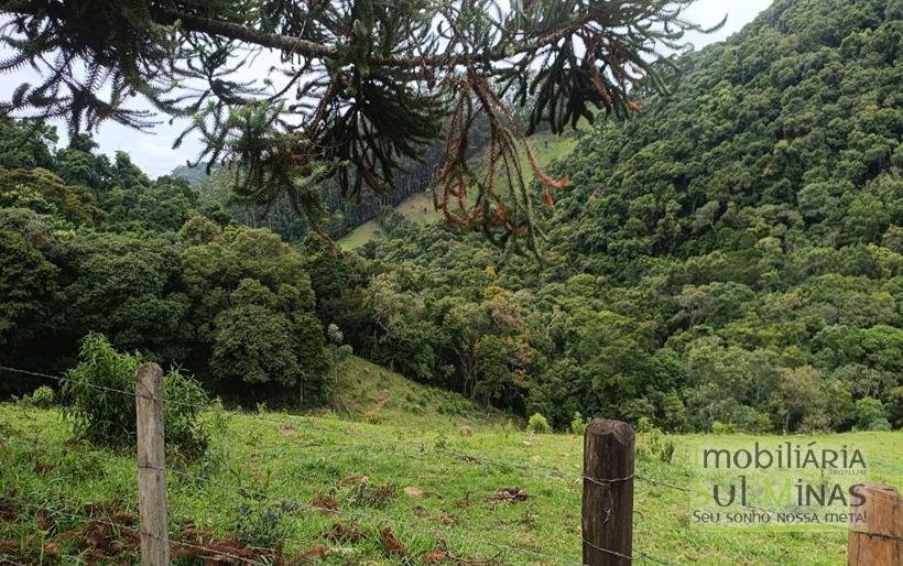 Terreno De 20.000m² À Venda em Camanducaia MG COD2361 (9)