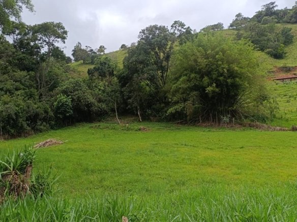 Terreno Rural Com 5.000m² em Ótima Localização à Venda em Cambuí MG COD2365 (3)