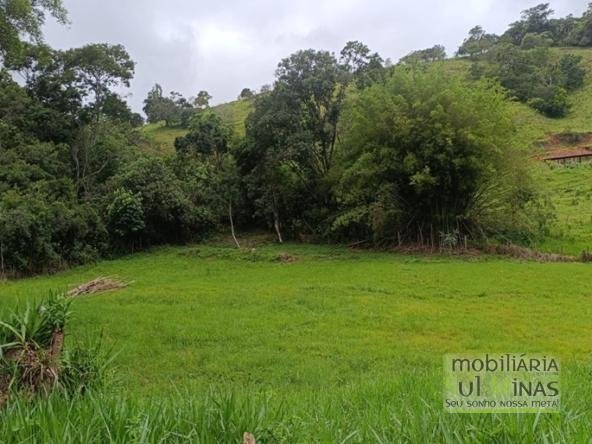 Terreno Rural Com 5.000m² em Ótima Localização à Venda em Cambuí MG COD2365 (3)