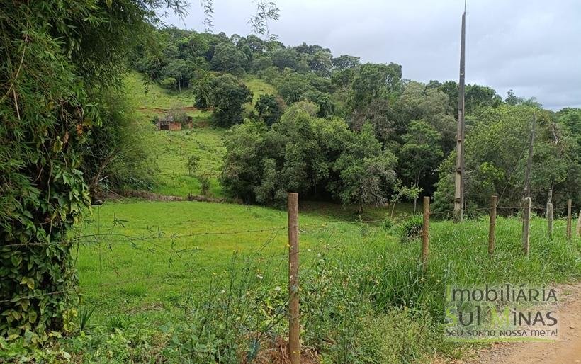 Terreno Rural Com 5.000m² em Ótima Localização à Venda em Cambuí MG COD2365 (4)