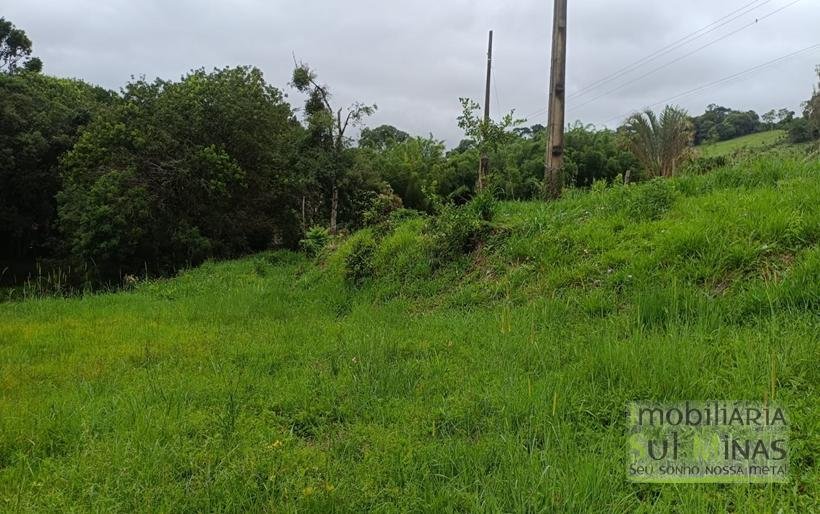 Terreno Rural Com 5.000m² em Ótima Localização à Venda em Cambuí MG COD2365 (5)
