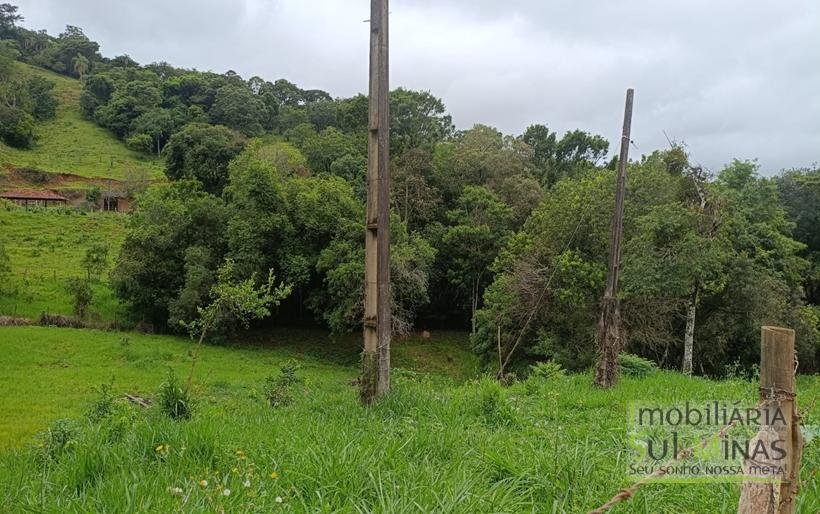 Terreno Rural Com 5.000m² em Ótima Localização à Venda em Cambuí MG COD2365 (6)