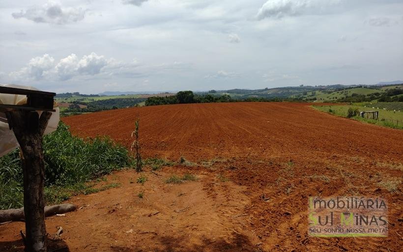Terreno de 5 Alqueires À Venda em Estiva MG COD2375 (3)