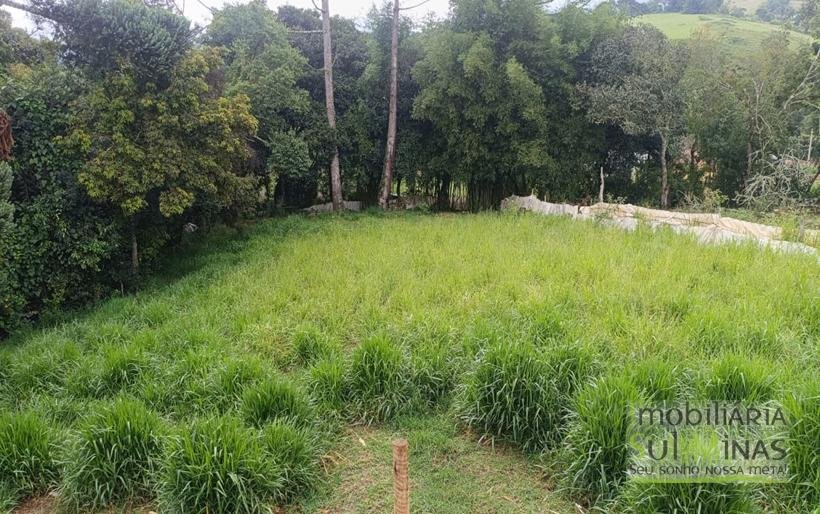 Chácara Com 1600m² À Venda em Senador Amaral COD2396 (5)