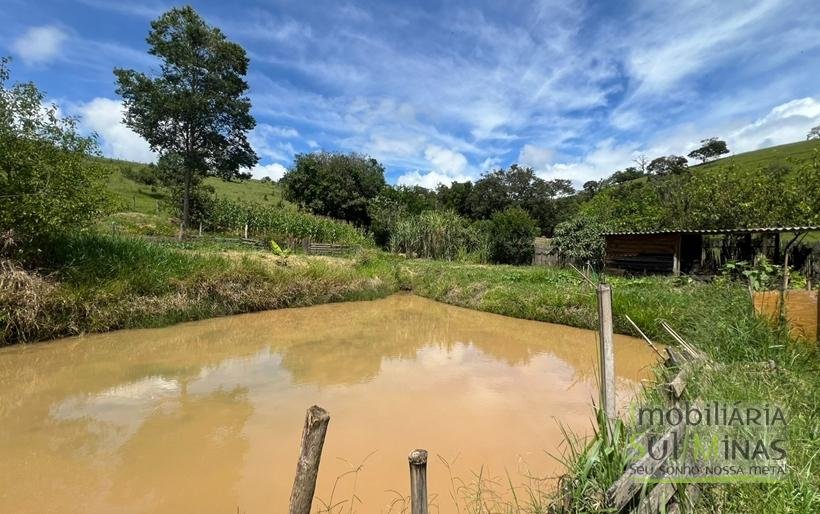 Chácara à Venda em Cambuí – Espaço, Natureza e Qualidade de Vida! COD2395 (8)