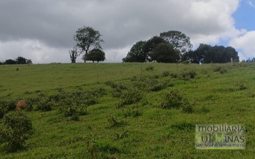Sítio Com 19 Hectares À Venda em Estiva MG Oportunidade Imperdível! COD2397 (12)