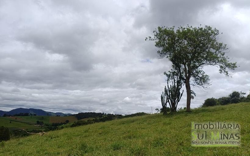 Sítio Com 19 Hectares À Venda em Estiva MG Oportunidade Imperdível! COD2397 (23)