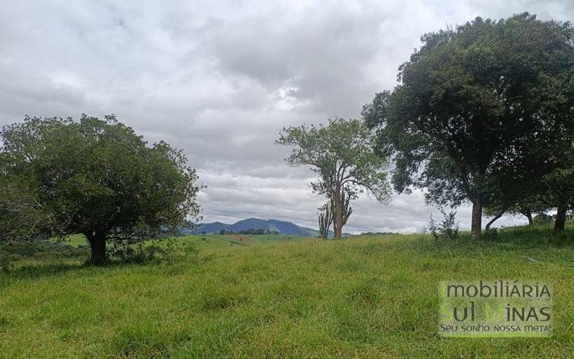 Sítio Com 19 Hectares À Venda em Estiva MG Oportunidade Imperdível! COD2397 (26)