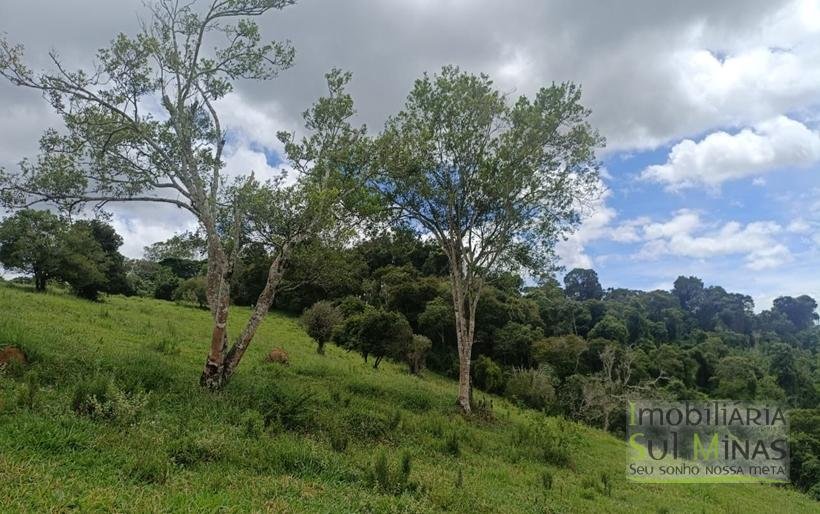 Sítio Com 19 Hectares À Venda em Estiva MG Oportunidade Imperdível! COD2397 (28)