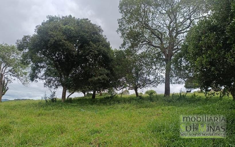 Sítio Com 19 Hectares À Venda em Estiva MG Oportunidade Imperdível! COD2397 (29)