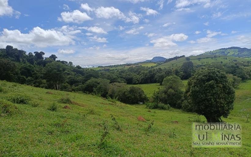 Sítio Com 19 Hectares À Venda em Estiva MG Oportunidade Imperdível! COD2397 (31)