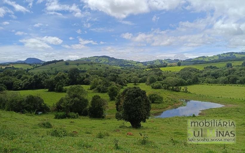 Sítio Com 19 Hectares À Venda em Estiva MG Oportunidade Imperdível! COD2397 (32)