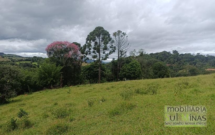 Sítio Com 19 Hectares À Venda em Estiva MG Oportunidade Imperdível! COD2397 (35)