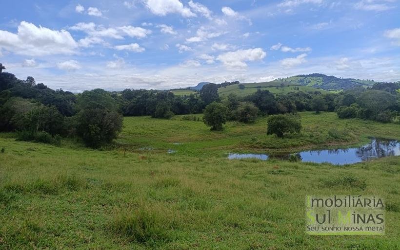 Sítio Com 19 Hectares À Venda em Estiva MG Oportunidade Imperdível! COD2397 (36)