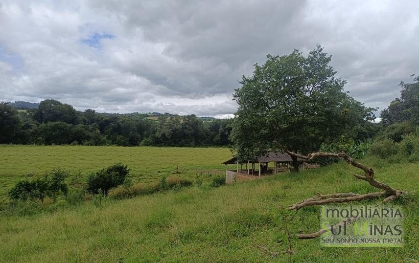 Sítio Com 19 Hectares À Venda em Estiva MG Oportunidade Imperdível! COD2397 (38)