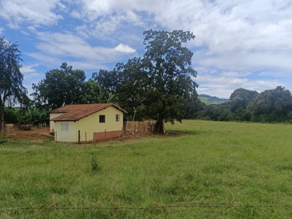 Sítio Com 19 Hectares À Venda em Estiva MG Oportunidade Imperdível! COD2397 (4)