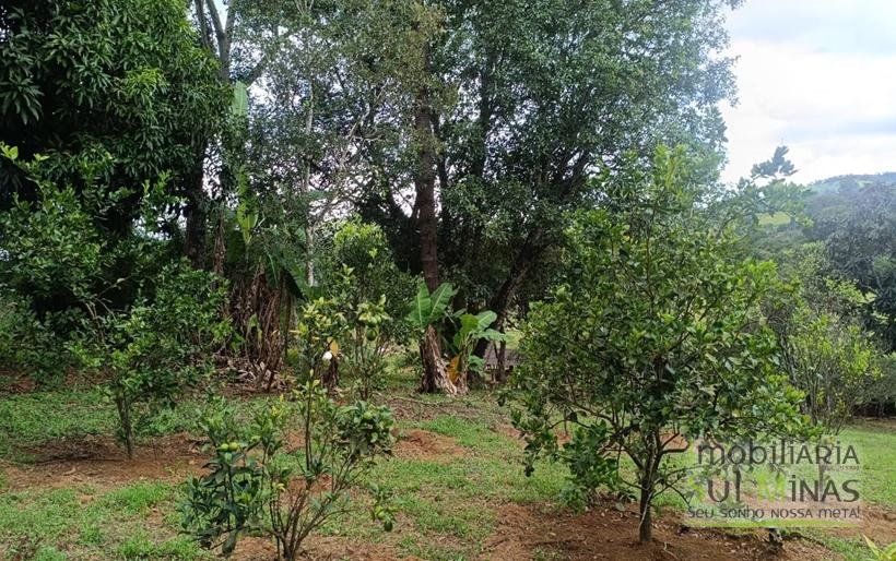 Sítio Com 19 Hectares À Venda em Estiva MG Oportunidade Imperdível! COD2397 (66)