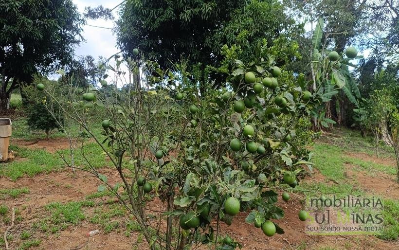 Sítio Com 19 Hectares À Venda em Estiva MG Oportunidade Imperdível! COD2397 (70)