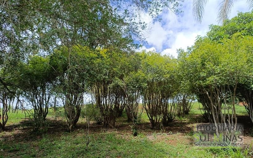 Sítio Completo à Venda em Camanducaia – Estrutura Impecável, Fácil Acesso e Próximo a Fernão DiasCOD2386 (16)