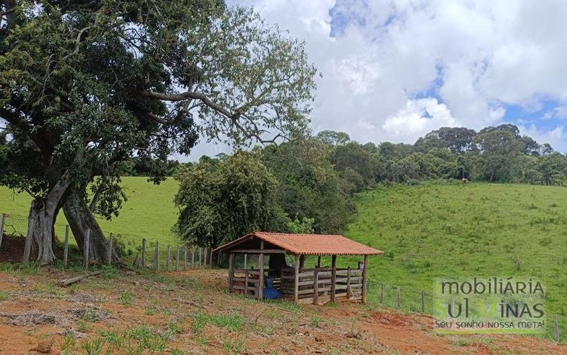 Sítio Completo à Venda em Camanducaia – Estrutura Impecável, Fácil Acesso e Próximo a Fernão DiasCOD2386 (20)