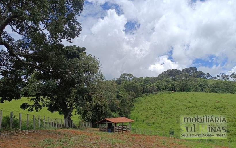 Sítio Completo à Venda em Camanducaia – Estrutura Impecável, Fácil Acesso e Próximo a Fernão DiasCOD2386 (24)