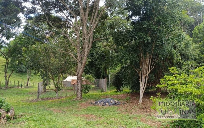 Sítio Completo à Venda em Camanducaia – Estrutura Impecável, Fácil Acesso e Próximo a Fernão DiasCOD2386 (29)