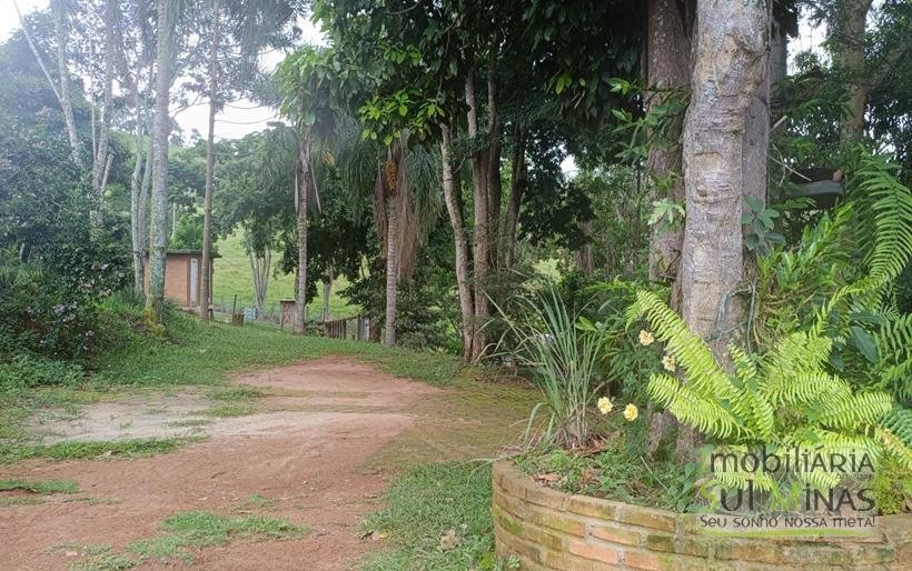 Sítio Completo à Venda em Camanducaia – Estrutura Impecável, Fácil Acesso e Próximo a Fernão DiasCOD2386 (44)