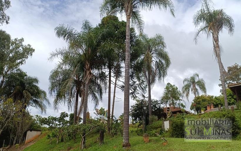 Sítio Completo à Venda em Camanducaia – Estrutura Impecável, Fácil Acesso e Próximo a Fernão DiasCOD2386 (5)