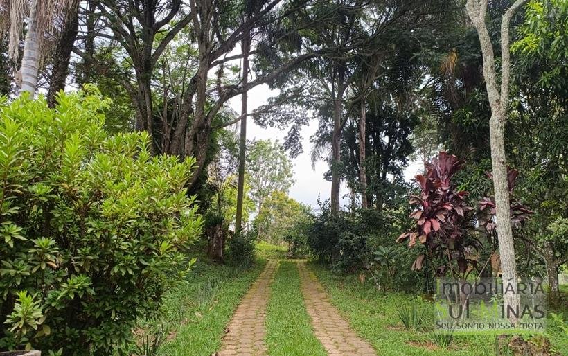 Sítio Completo à Venda em Camanducaia – Estrutura Impecável, Fácil Acesso e Próximo a Fernão DiasCOD2386 (64)