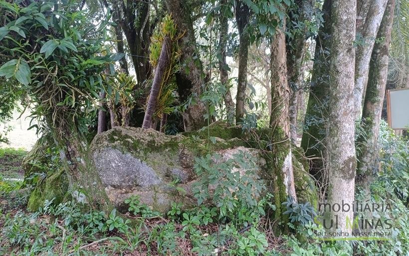 Sítio Completo à Venda em Camanducaia – Estrutura Impecável, Fácil Acesso e Próximo a Fernão DiasCOD2386 (65)