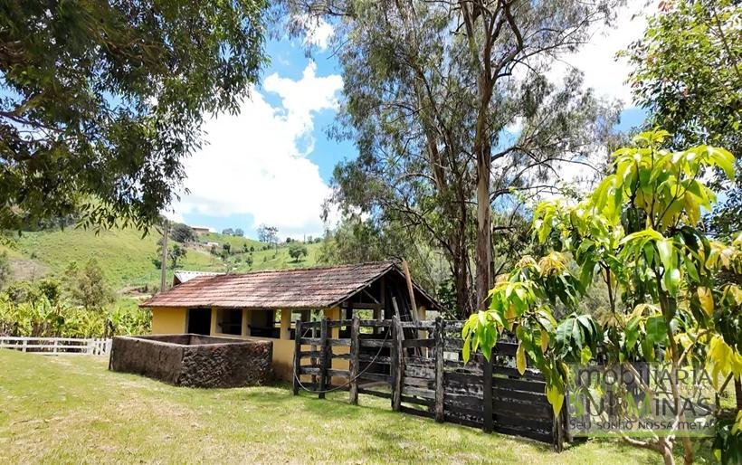 Sítio à Venda em CambuíMG – 30.800 m² de Natureza, Conforto e Privacidade COD2377 (20)