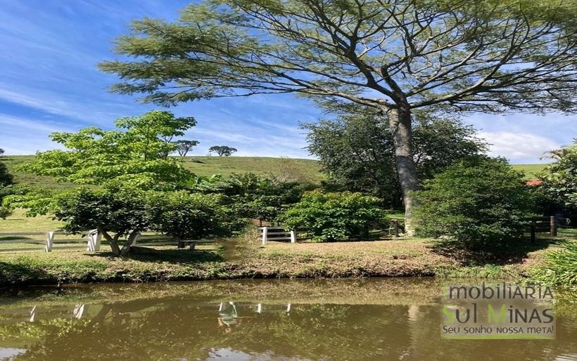 Sítio à Venda em CambuíMG – 30.800 m² de Natureza, Conforto e Privacidade COD2377 (4)