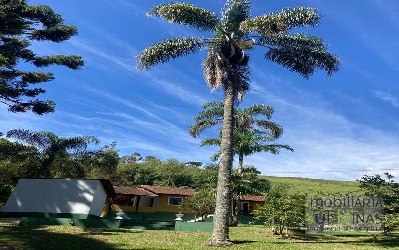 Sítio à Venda em CambuíMG – 30.800 m² de Natureza, Conforto e Privacidade COD2377 (9)