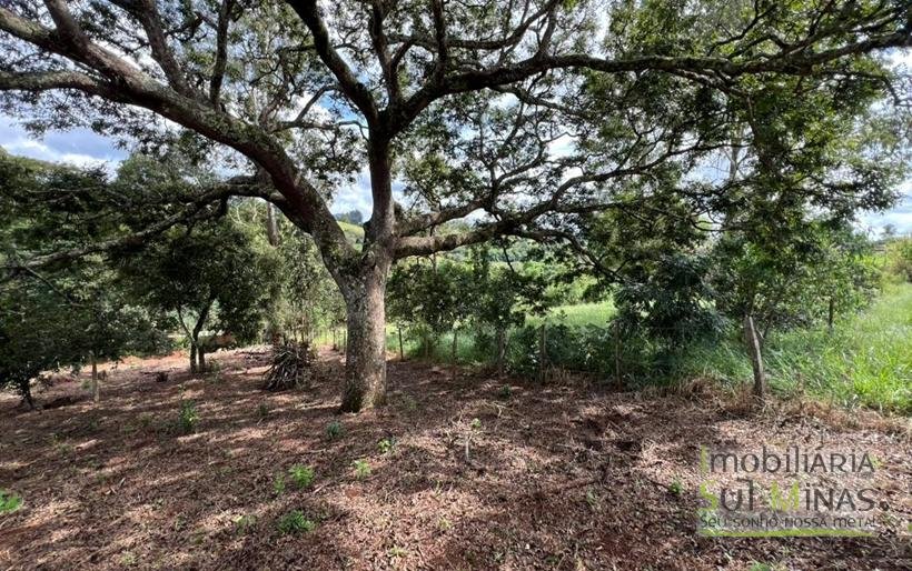 Terreno Rural com 1450m² a 1,2km da Fernão Dias À Venda em Estiva MG COD2392 (1)