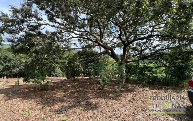 Terreno Rural com 1450m² a 1,2km da Fernão Dias À Venda em Estiva MG COD2392 (2)