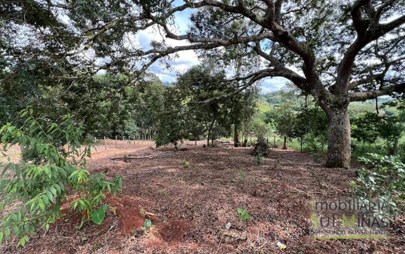 Terreno Rural com 1450m² a 1,2km da Fernão Dias À Venda em Estiva MG COD2392 (3)