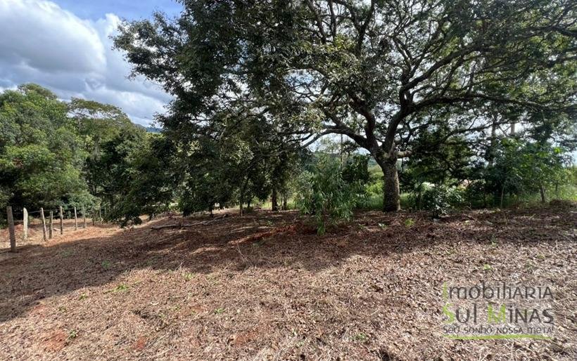 Terreno Rural com 1450m² a 1,2km da Fernão Dias À Venda em Estiva MG COD2392 (4)