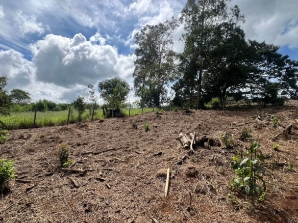 Terreno Rural com 1450m² a 1,2km da Fernão Dias À Venda em Estiva MG COD2392 (6)