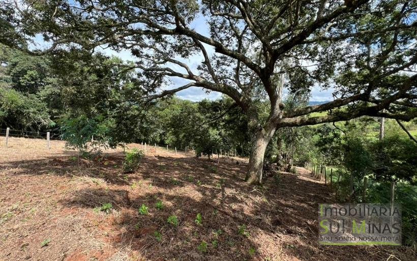 Terreno Rural com 1450m² a 1,2km da Fernão Dias À Venda em Estiva MG COD2392 (7)