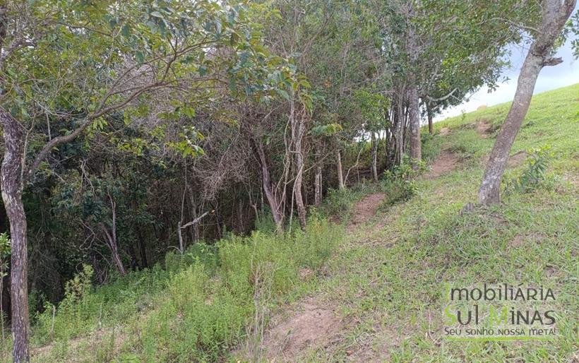 Terreno Rural com Vista 360° para as Montanhas À Venda em Cambuí – MG COD2390 (1)