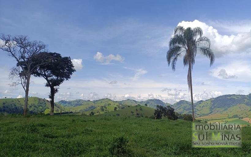 Terreno Rural com Vista 360° para as Montanhas À Venda em Cambuí – MG COD2390 (13)