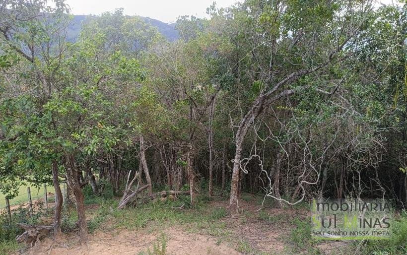 Terreno Rural com Vista 360° para as Montanhas À Venda em Cambuí – MG COD2390 (15)