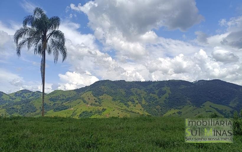 Terreno Rural com Vista 360° para as Montanhas À Venda em Cambuí – MG COD2390 (16)